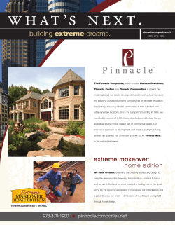 11517 Pinnacle Flyer