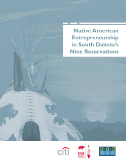 Native American Entrepreneurship in South Dakota`s Nine