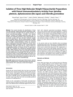 Isolation of Three High Molecular Weight Polysaccharide