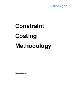 Constraint Costing Methodology