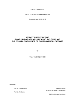 activity budget of two giant pandas at pairi daiza zoo (belgium)