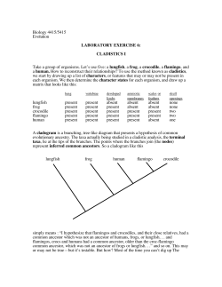 LABORATORY EXERCISE 6
