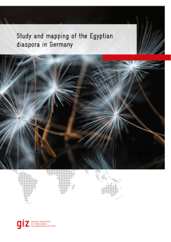 Study and mapping of the Egyptian diaspora in Germany