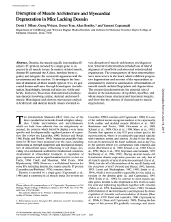 Disruption of Muscle Architecture and Myocardial Degeneration in