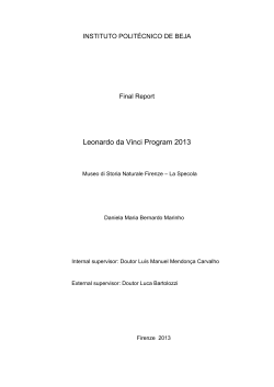 Leonardo da Vinci Program 2013