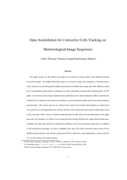 Data Assimilation for Convective Cells Tracking on