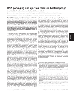 DNA packaging and ejection forces in bacteriophage