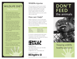 Don`t feed the animals - Keeping wildlife healthy and wild