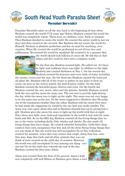 South Head Youth Parasha Sheet