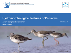 Hydromorphological features of Estuaries