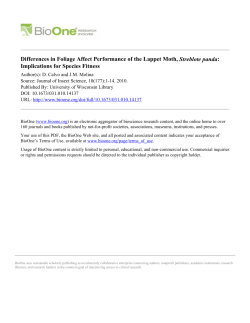 Differences in Foliage Affect Performance of the Lappet Moth