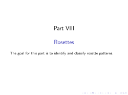 Part8_Rosettes
