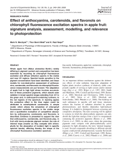 Effect of anthocyanins, carotenoids, and flavonols on chlorophyll