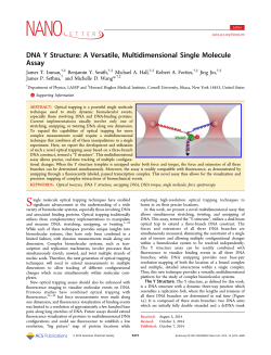 DNA Y Structure: A Versatile, Multidimensional