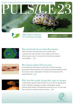 How banana plants kill root pests How leaf beetle larvae fend off