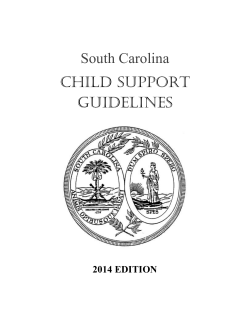 South Carolina Child Support Guidelines (2014 edition)