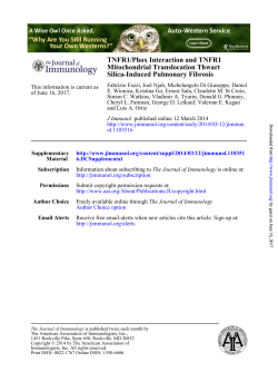 Silica-Induced Pulmonary Fibrosis Mitochondrial Translocation