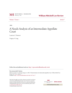 A Needs Analysis of an Intermediate Appellate Court