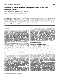 Production of human embryonic haemoglobin (Gower 11) in a yeast