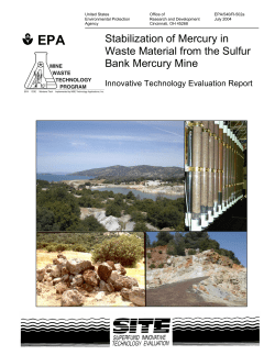 Stabilization of Mercury in Waste Material from the Sulfur - CLU-IN