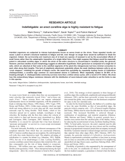 RESEARCH ARTICLE Indefatigable: an erect