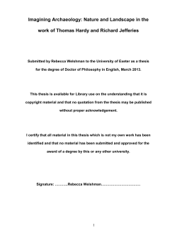 Thesis - Open Research Exeter