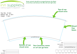 8oz double wall cups