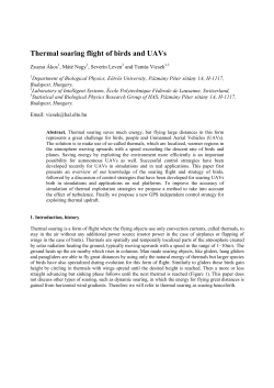 Thermal soaring flight of birds and UAVs
