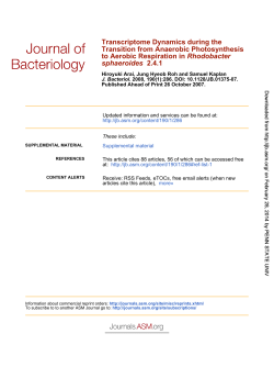 2.4.1 sphaeroides Rhodobacter to Aerobic Respiration in Transition