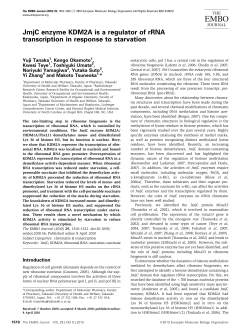 JmjC enzyme KDM2A is a regulator of rRNA transcription in