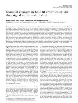 Seasonal changes in blue tit crown color: do they signal individual
