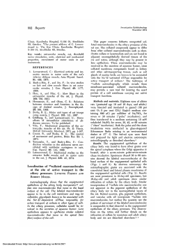 Localization of 35Sulfated Macromolecules at the Site of Active