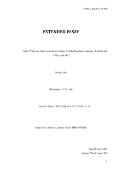 EXTENDED ESSAY