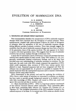 evolution of mammalian dna - University of California, Berkeley