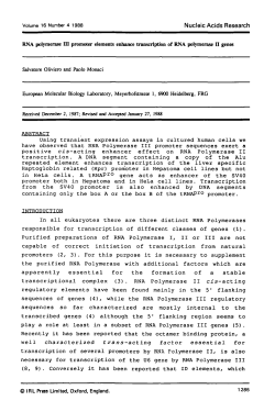RNA polymerase III promoter elements enhance transcription of