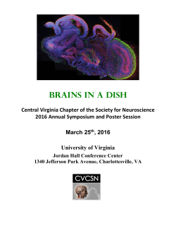 2016: Brains in a Dish