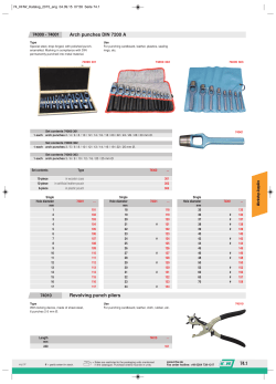 Arch punches DIN 7200 A Revolving punch pliers