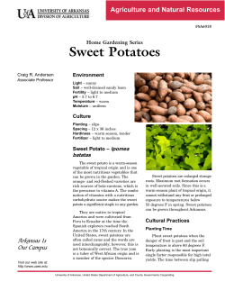 Sweet Potatoes - Home Gardening Series - FSA6018