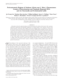 Pericentromeric Regions of Soybean (Glycine max L. Merr.)