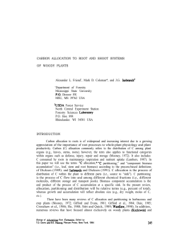 CARBON ALLOCATION TO ROOT AND SHOOT SYSTEMS OF