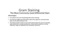 Gram Staining