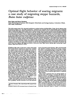 Optimal flight behavior of soaring migrants: a