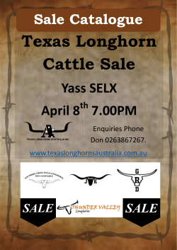 Sale Catalogue Low Resolution - Texas Longhorns Australia Inc.