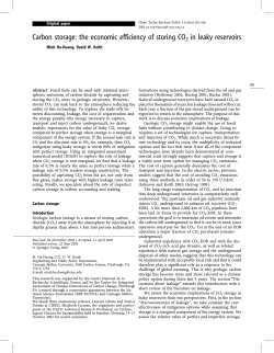 Carbon storage: the economic efficiency of storing CO2 in leaky