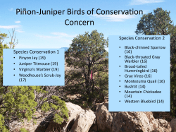 Piñon-Juniper Habitats and Priority Species