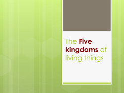 The Five kingdoms of living things