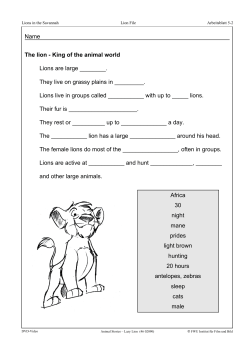 Lions live in groups