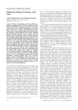 Pollination biology in Bombax ceiba Linn.