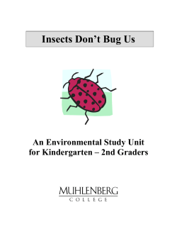 Insects Don`t Bug Us