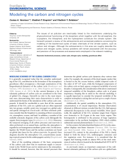 Modeling the carbon and nitrogen cycles